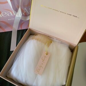 108” cathedral train veil in light ivory